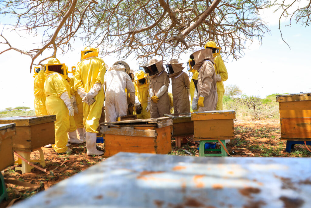 Building Climate Resilience with Bees as Beekeepers Get 600 Hives, PPEs, Machines